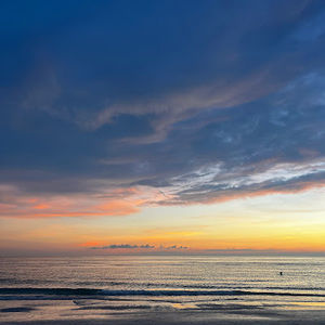 Meet your Posher, Sydney